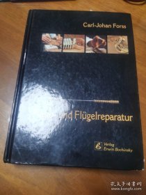 piano-und flugelreparatur，钢琴和三角钢琴维修，德文原版