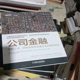 公司金融：金融工具、财务政策和估值方法的案例实践