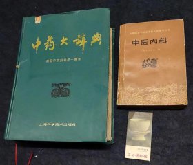 中药大辞典（全2册）