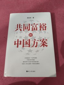 共同富裕的中国方案