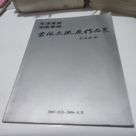 天津东丽湖南宁乡书法交流展作品集