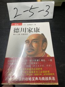 德川家康（第十二部）：大坂风云