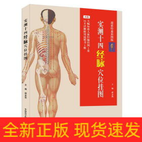 实测十四经脉挂图：大幅标准人体经脉挂图3张+16开详解使用说明书1册（超值特惠彩图版）