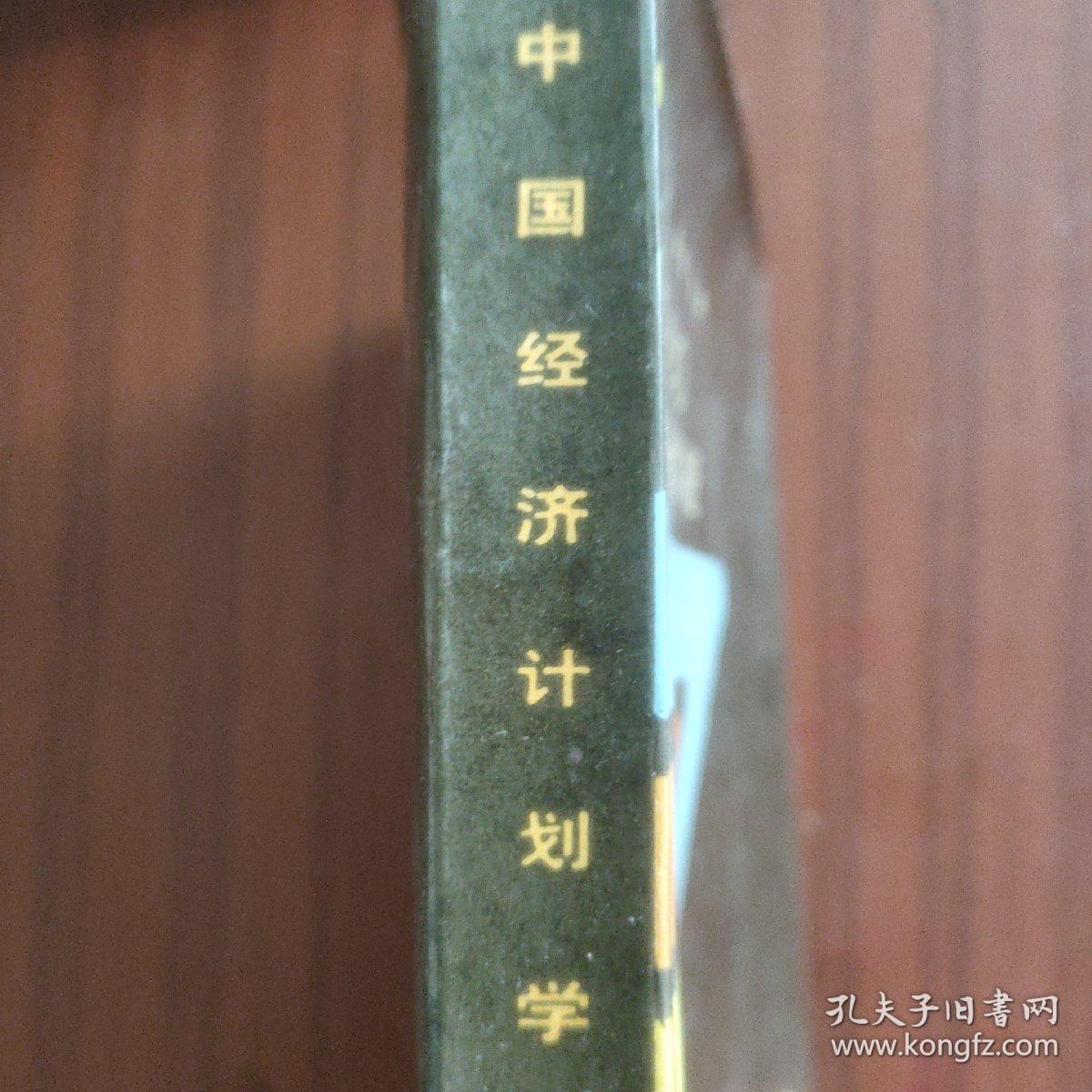 中国经济计划学