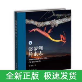 婆罗洲异虫志