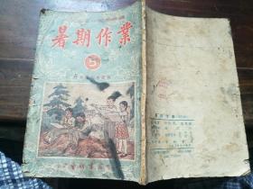 暑期作业，1953年赵白山绘图