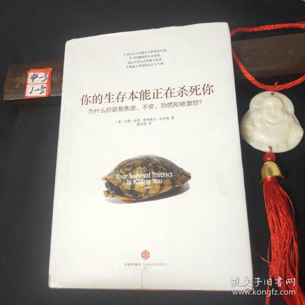 你的生存本能正在杀死你：为什么你容易焦虑、不安、恐慌和被激怒？