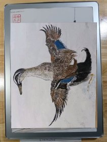 野鸭3