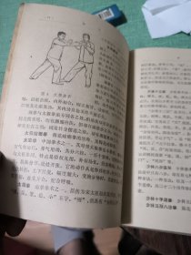 简明武术辞典