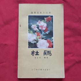 盆栽花卉小丛书《杜鹃》