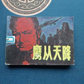 鹰从天降