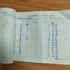 1972年江西省宁都县洛上公社球田大队中药盘查表6页全