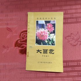 大丽花
