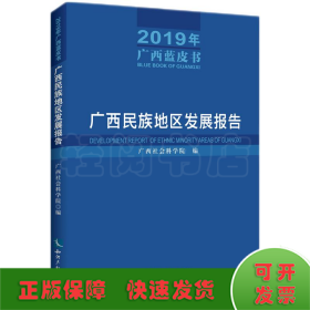 广西民族地区发展报告（2019年广西蓝皮书）——广西民族地区发展报告