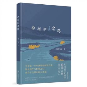 命运的岔路 宁波出版社，帕蒂古丽