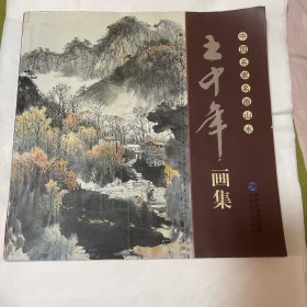 中国名家名画山水   王中年   画集