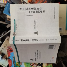 法大诉讼法学博士文库 刑事冤案比较研究：一个国际的视角