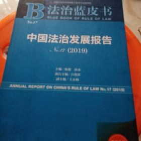 中国法治发展报告 No.17(2019) 2019版