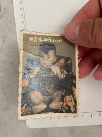 1961年营口儿童单人照、穿肚兜、漏**