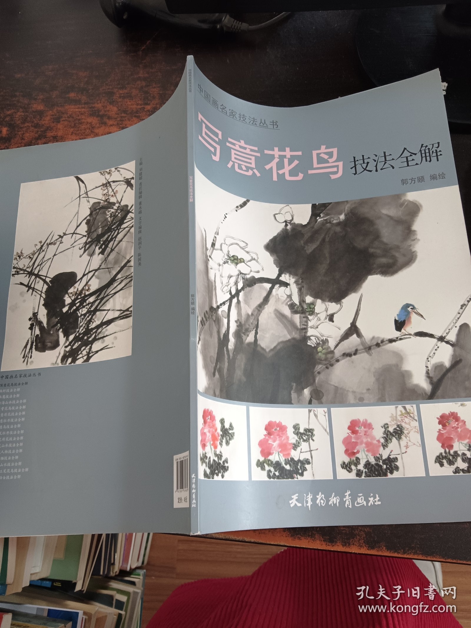 中国画名家技法丛书：写意花鸟技法全解