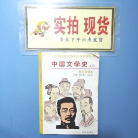 中国文学史(三)