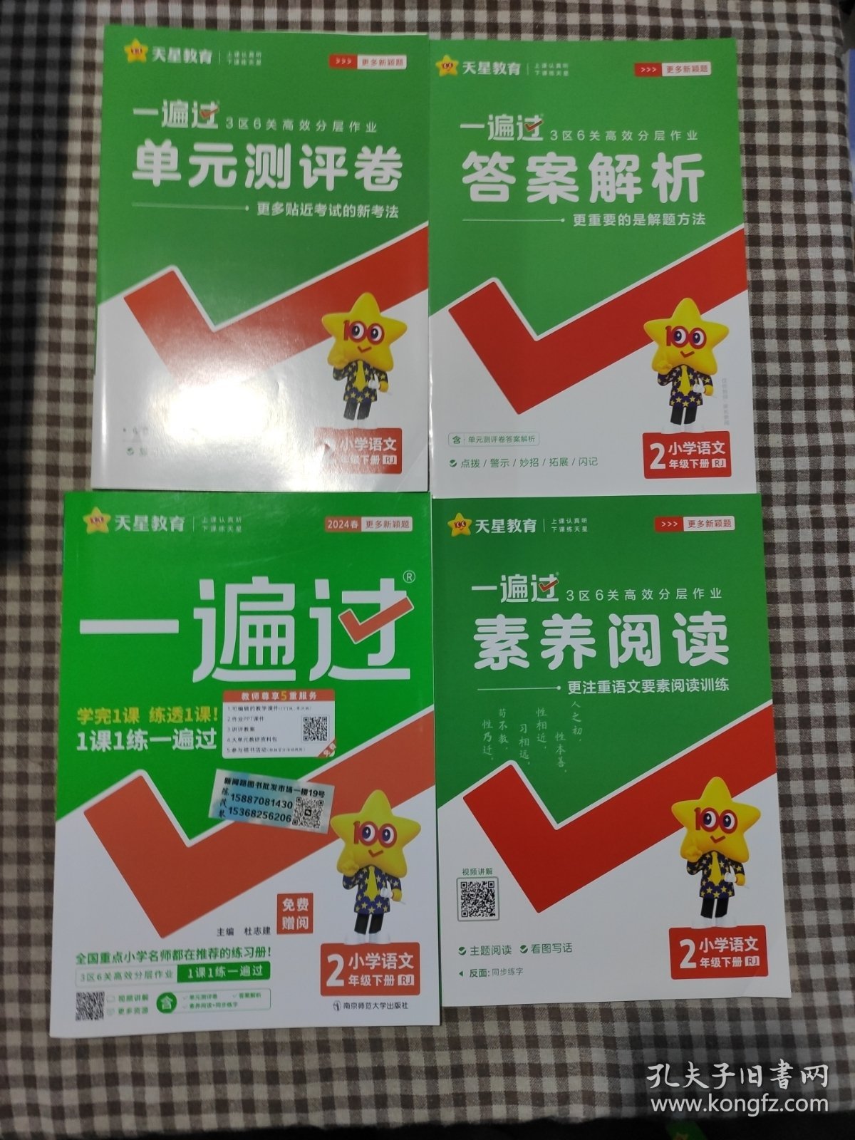 一遍过：小学语文（二年级下册RJ配套统编教材2020春季）