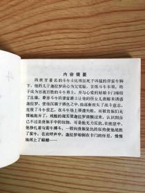 连环画：斗牛士之死