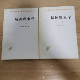 精神现象学（上下）