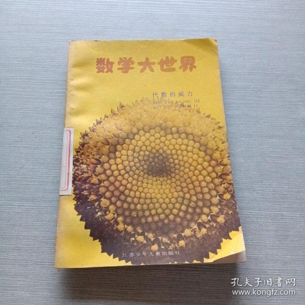 数学大世界代数的威力