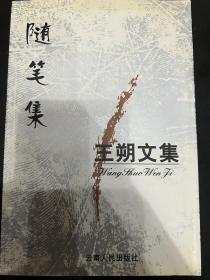 王朔文集：随笔集