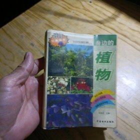 身边的植物：中国国家地理博物丛书