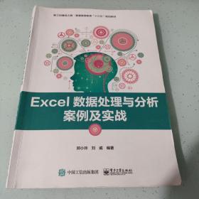 Excel数据处理与分析案例及实战