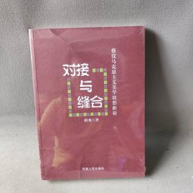 对接与缝合 胡俊 河南人民出版社