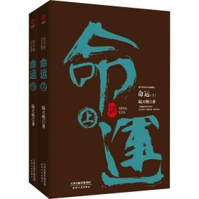 陆天明当代作品精选：命运（套装全2册）