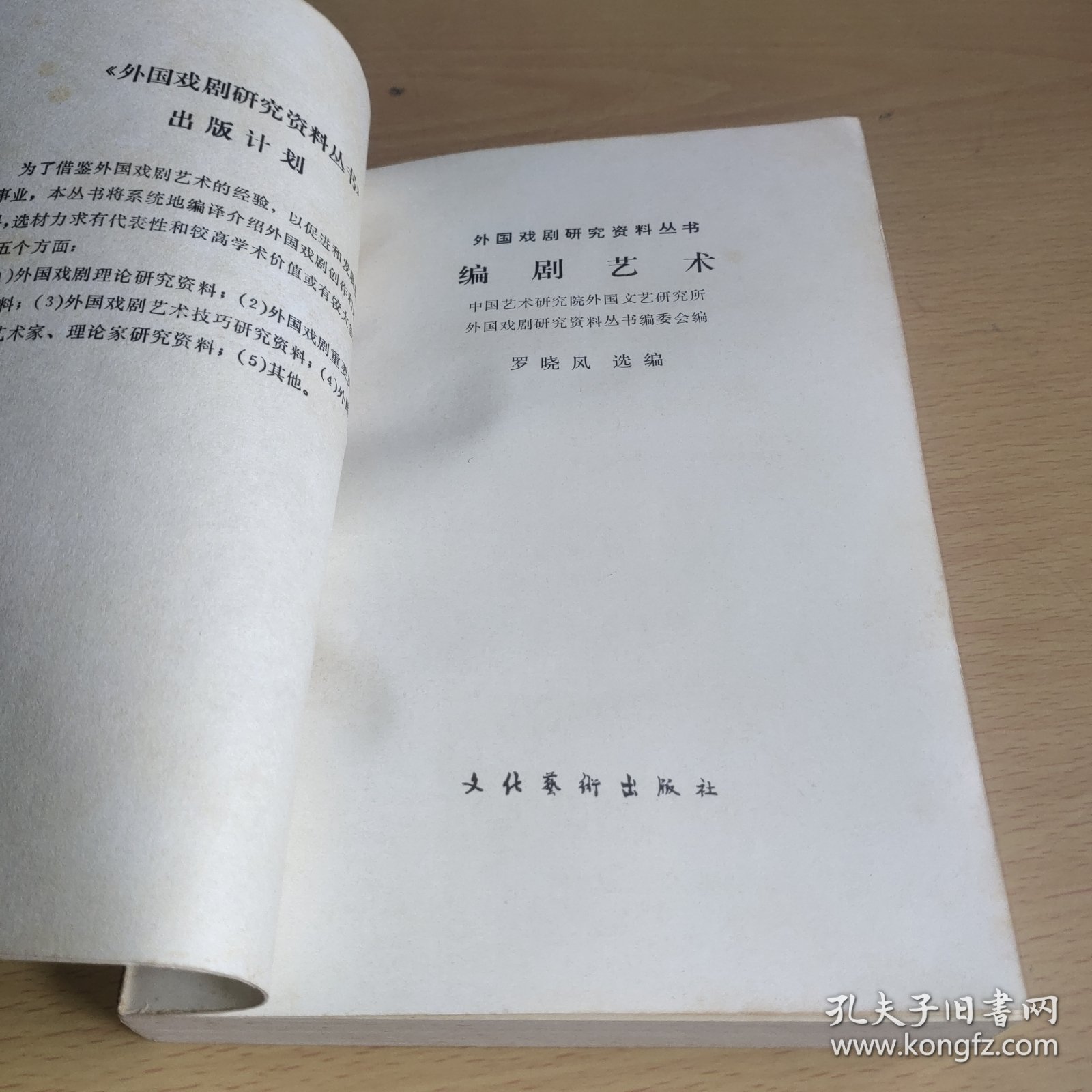 编剧艺术