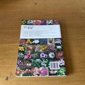 花卉圣经：1200种室内观赏植物【实物拍照现货正版】