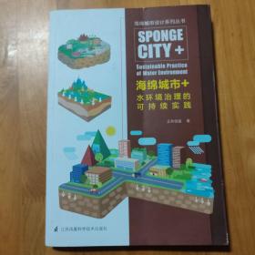 海绵城市+水环境治理的可持续实践（比海绵城市更进一步的水环境解决方案）