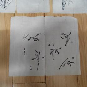 清 木刻版兰花画页 有临沈周、文征明、赵子昂等兰花图（其中1页竹子） 散页21页  裱成册页或当老信笺用都不错
说明：年份是根据2006年买入时卖家标明的而来，有疑义的请勿下单！下单即表示认可。