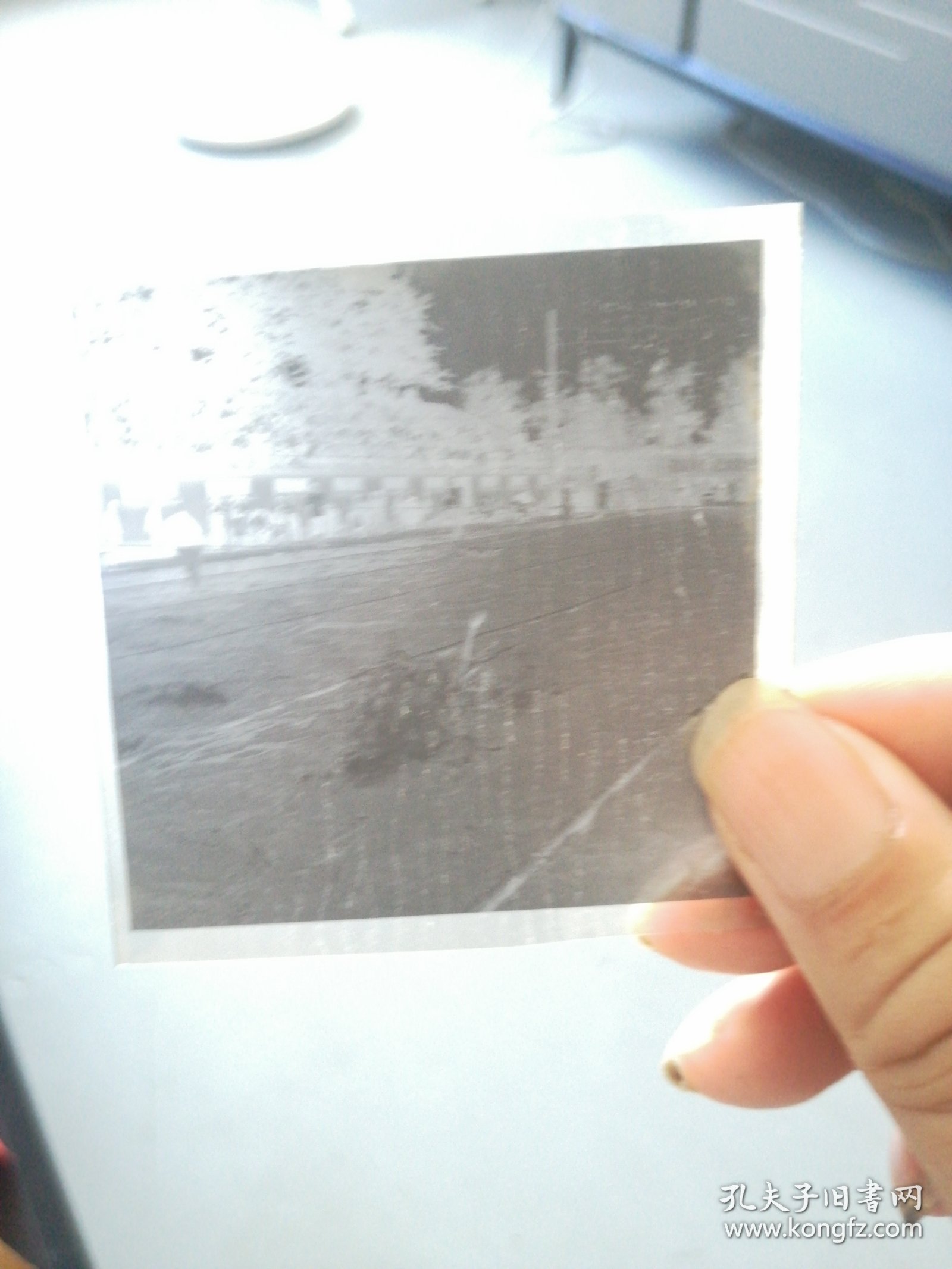 三届省运会游泳比赛，破少年纪录，1974年8月在成都