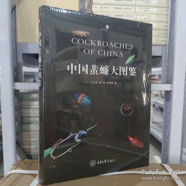 中国蜚蠊大图鉴 王宗庆 邱鹭 车艳丽 著GK 重庆大学出版社