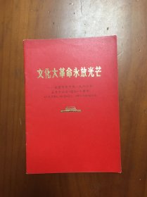 大革命永放光芒（烫金字）