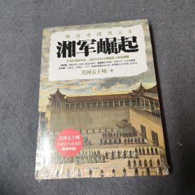 湘军崛起（晚清帝国风云系列）