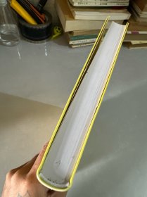 转型中的地方政府：官员激励与治理