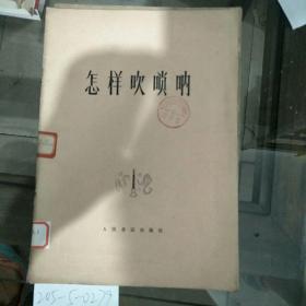 怎樣吹嗩吶1977年