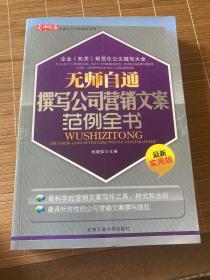 无师自通撰写公司营销文案范例全书（最新实用版）