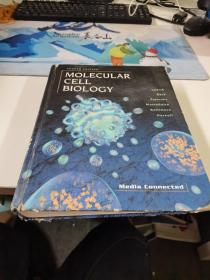 MOLECULAR CELL BIOLOGY