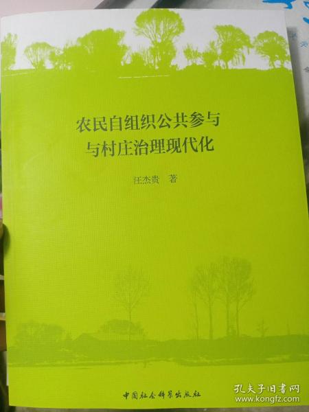 农民自组织公共参与与村庄治理现代化