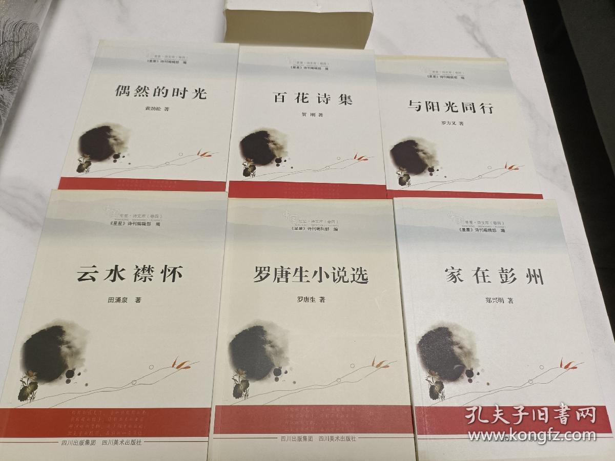 星星诗文库 卷四全六册