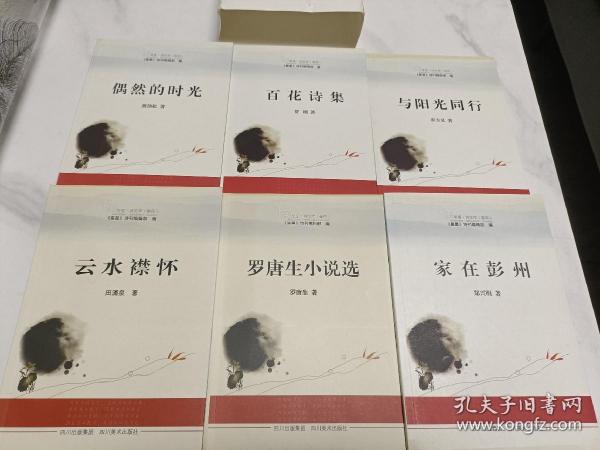 星星诗文库 卷四全六册