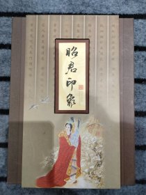 昭君印象